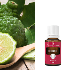 Bergamot