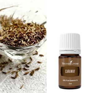 Caraway (Karwij)