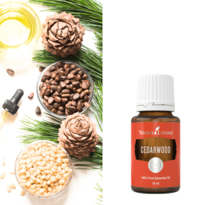 Cedarwood (Cederhout)